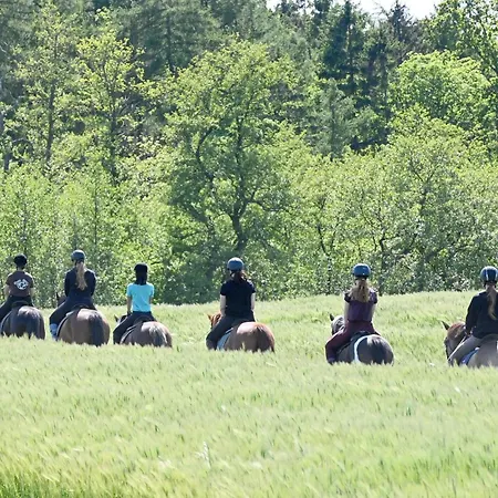 Luxuswellnesshaus Beachhouse 度假居 Bliesdorf